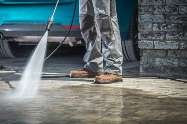 Best Gutter Cleaning  in La Feria, TX