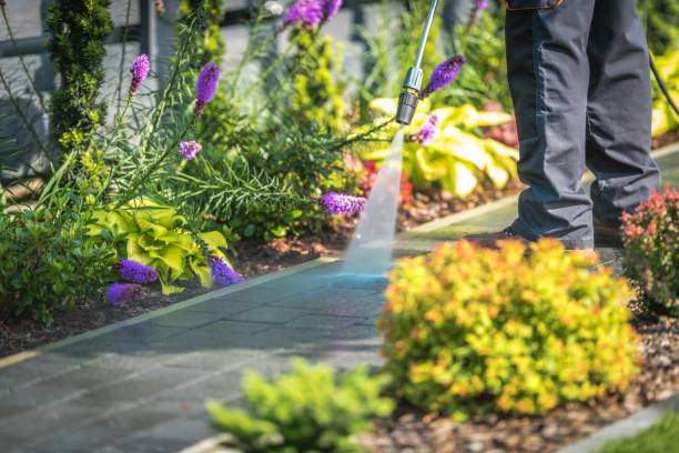 Best Dumpster Area Cleaning  in La Feria, TX