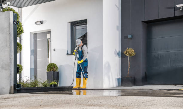 Best Oil Spill Cleanup  in La Feria, TX